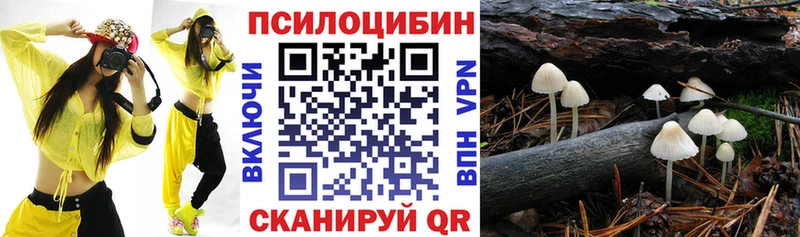 Галлюциногенные грибы прущие грибы  MEGA ссылки  Саров 